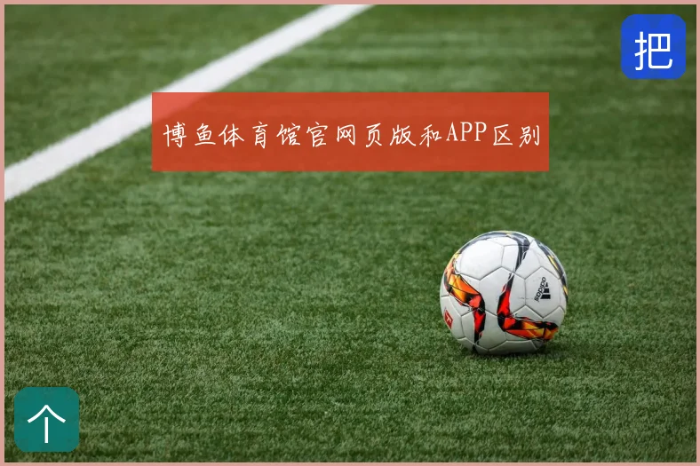 博鱼体育馆官网页版和APP区别