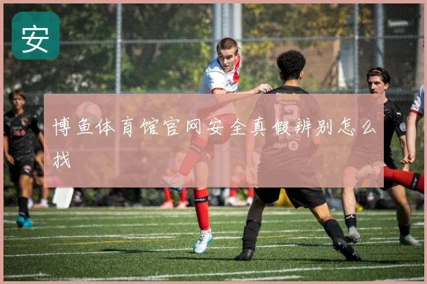 博鱼体育馆官网安全真假辨别怎么找